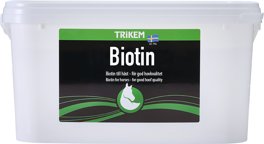 Biotin - 4000 gr